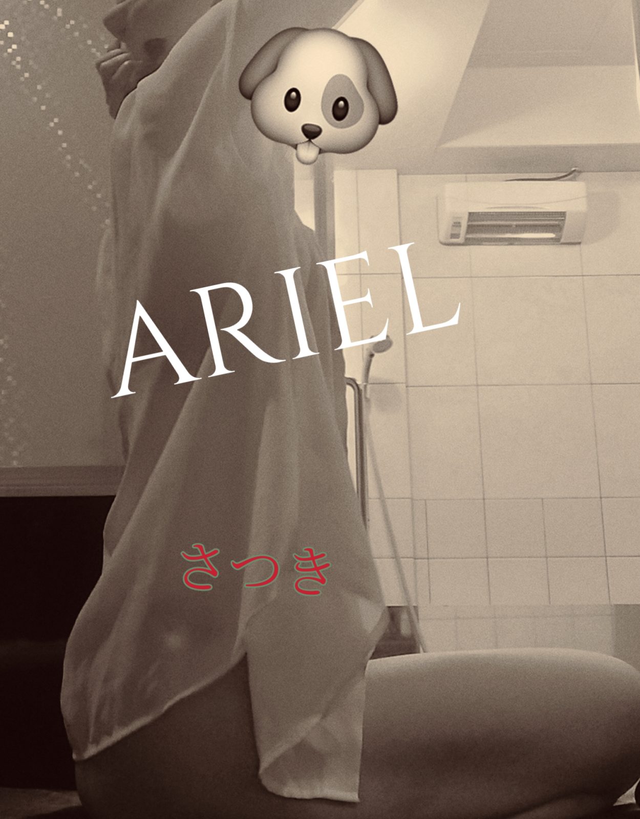 宮崎M性感痴女倶楽部 ARIEL-アリエル-の写メ日記画像：ジメジメ…